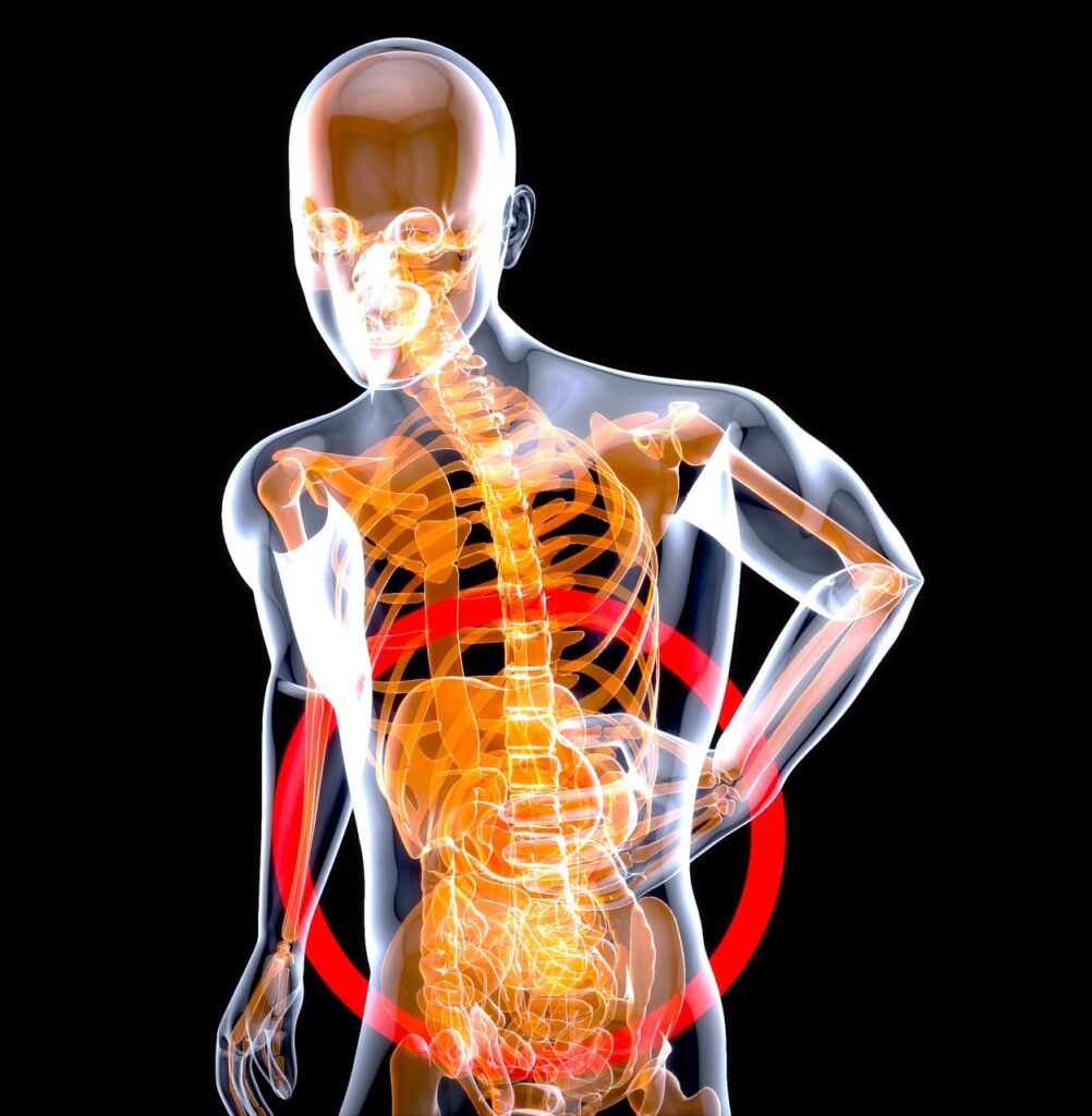 Stomach Anatomy Pain Health X Ray  - julientromeur / Pixabay, Liquid Pain