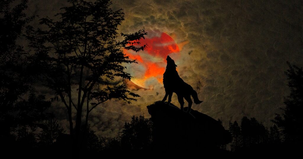Wolf Howling Blood Moon Night  - Placidplace / Pixabay, Werewolves of Poligny