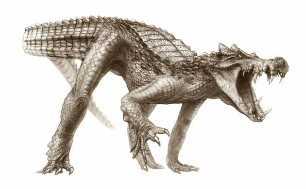 Kaprosuchus