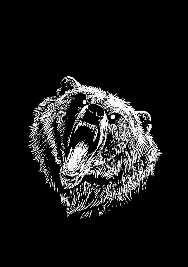Bear Mammal Roar Animal  - george112 / Pixabay, Spread of Savagery