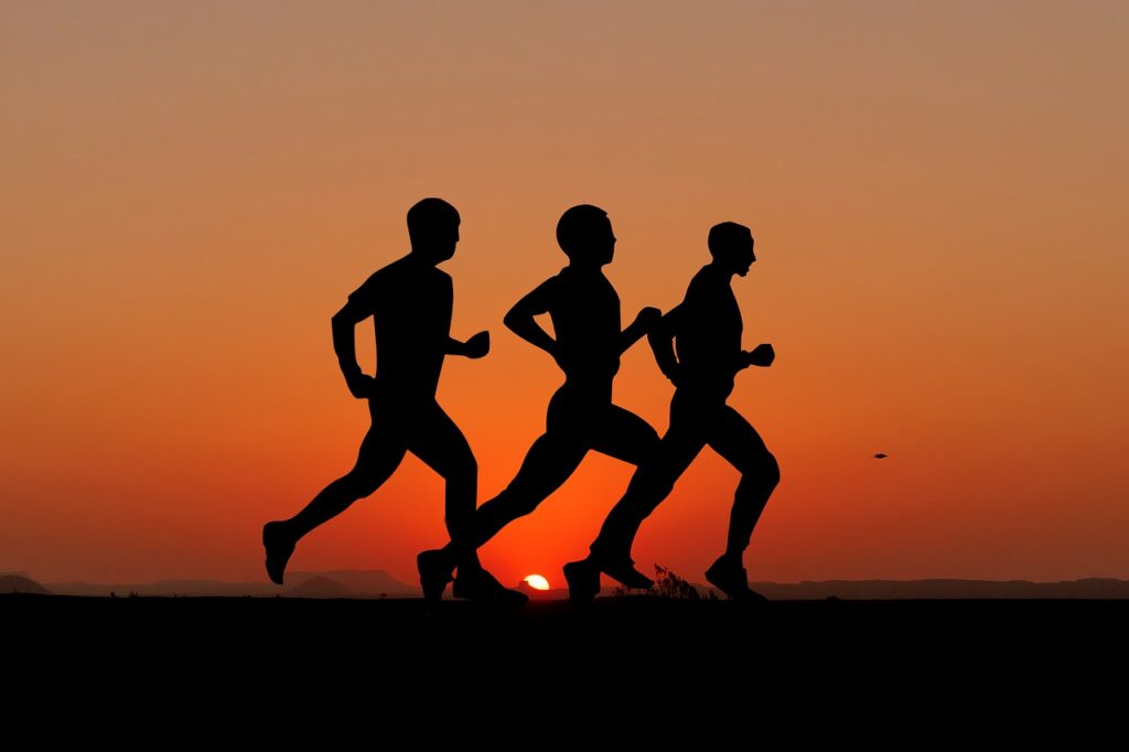Sunset Nature Sport Races  - rauschenberger / Pixabay, feat Endurance