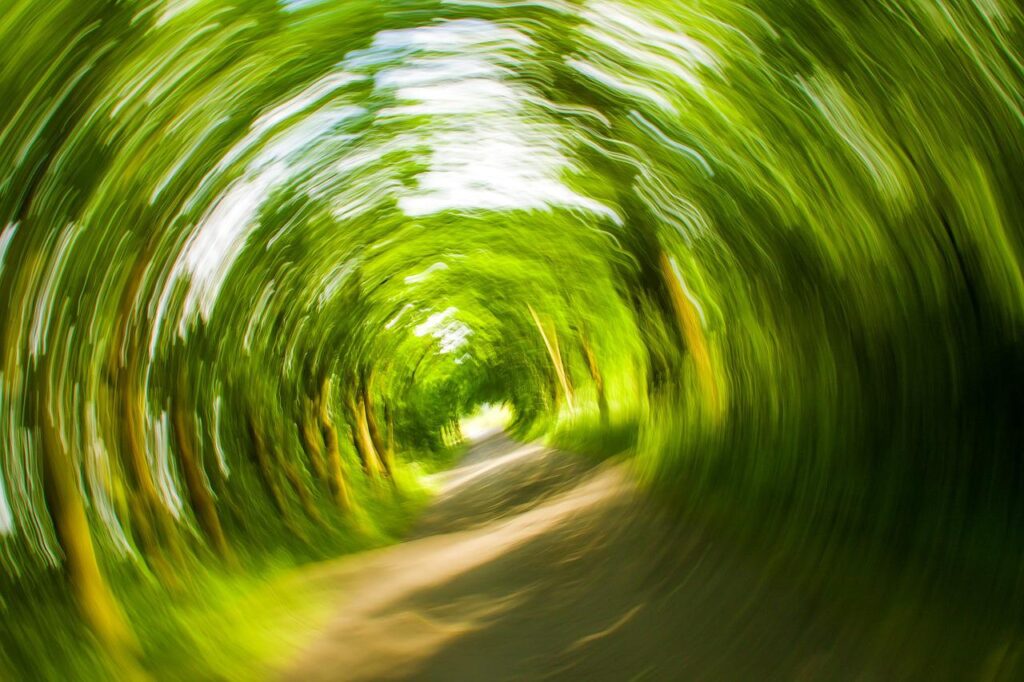 Trees Path Nature Whirl Rotate  - kalhh / Pixabay, Circle of Nausea