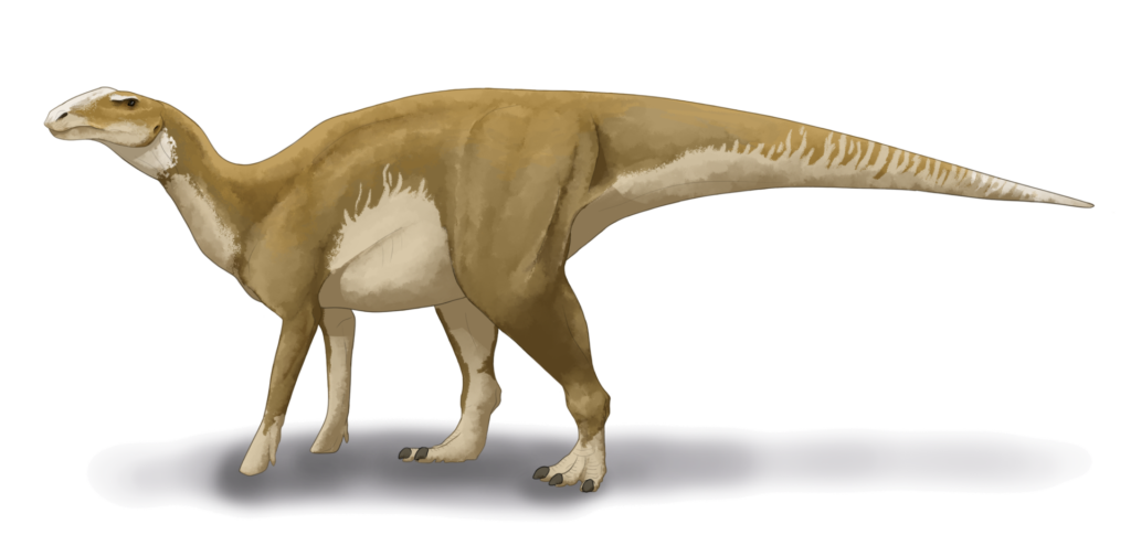 Dinosaur, Anatotitan, (Trachodon)