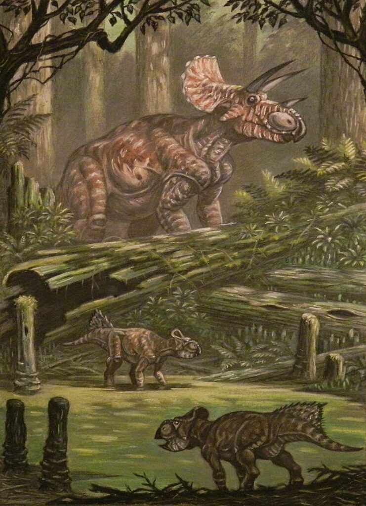 Dinosaur, Leptoceratops