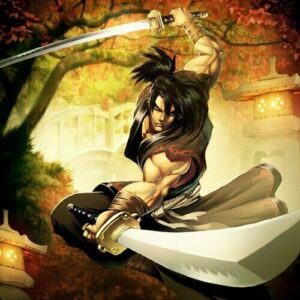 Miyamoto Musashi — character illustration