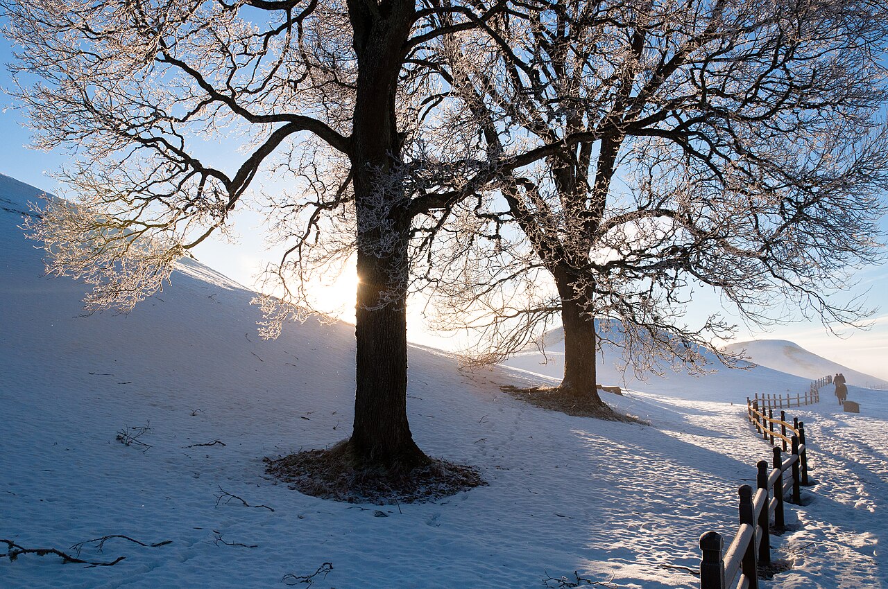 Snow-covered royal burial mounds at Old Uppsala, Sweden
